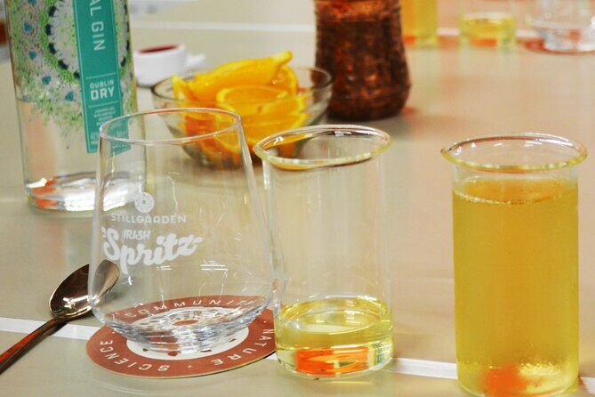 1-Hour Cocktail Masterclass Experience in Dublin - Practical Tips for a Smooth 60 Minutes