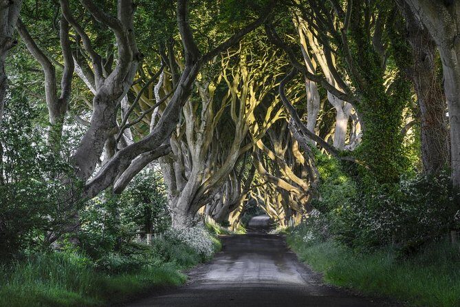 2-Day Northern Ireland Tour from Dublin Including Belfast and Giants Causeway - Carrick-a-Rede Rope Bridge and Dark Hedges: The Stops That Add Drama