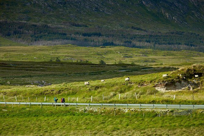 2-Day Western Ireland Tour from Dublin:Including Galway and Cliffs of Moher - Overnight in Galway: the real advantage of staying put