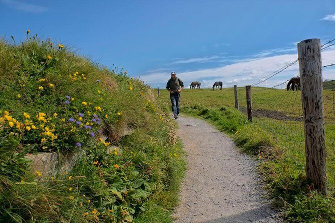 2-Day Wild Atlantic Way Tour From Dublin - Price and value: where $239.63 really lands