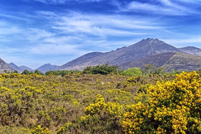 3-Day Discover Northern Ireland Small-Group Tour from Dublin - Transportation and timing: comfortable, but not endless