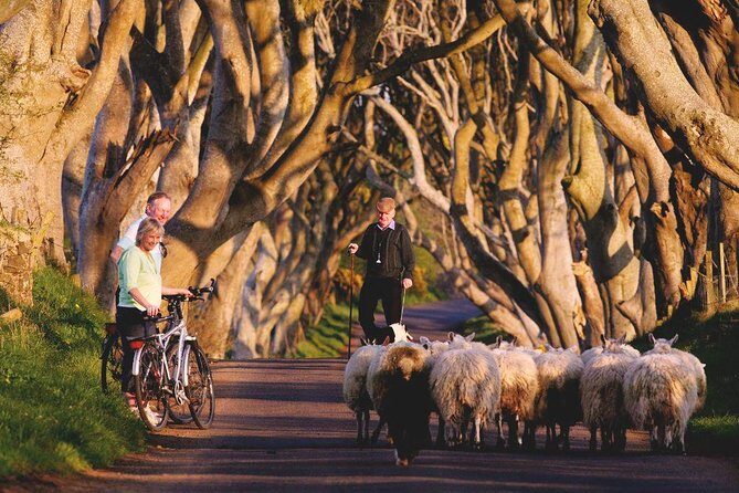 3-Day Northern Ireland Tour from Dublin: Giant’s Causeway & Titanic Experience - Price and Value: Is $475.37 a Fair Deal?