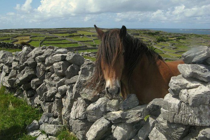 3-Day Southern Ireland Tour Including Galway and Kerry from Dublin - The real trade-offs: pace, lodging, and occasional itinerary changes