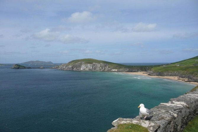 5-Day Northern Ireland and Atlantic Coast Small-Group Tour from Dublin - Day 4 in Connemara National Park: Sky Road Views and Wildlife Time