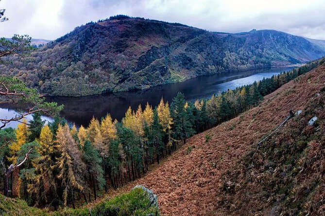 6-Day South of Ireland Tour from Dublin - Price and Logistics: What You’re Paying For, and What You Should Plan Around