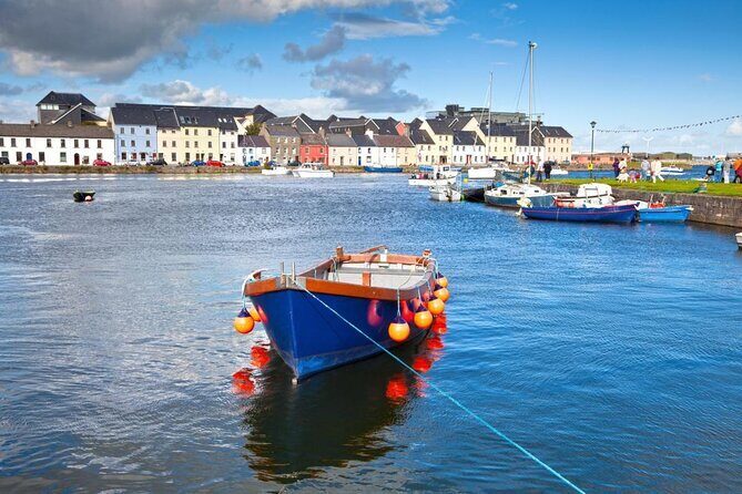 7-Day Great Atlantic Adventure Small-Group Tour of Ireland from Dublin - Day 2: Kenmare, Killarney biking, and the road to Dingle