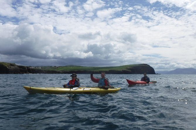 7-Day Great Atlantic Adventure Small-Group Tour of Ireland from Dublin - Day 4: Sheepdog demos, ferry-crossing to Clare, and Moher at walking speed
