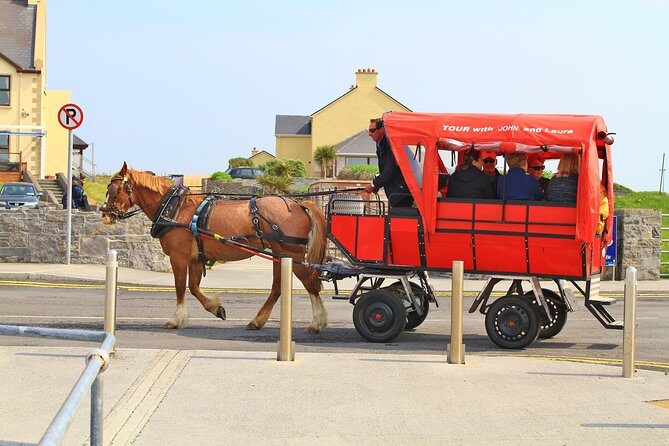 8 Day Emerald Explorer Small Group of tour of Ireland - Day 6: Burren Farm Safari, The Burren National Park, and Galway City time