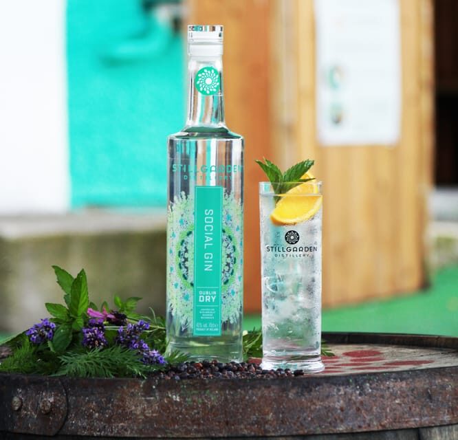 Afternoon Tea & Gin Masterclass - The tasting flight: how to make the most of 4 signature gins