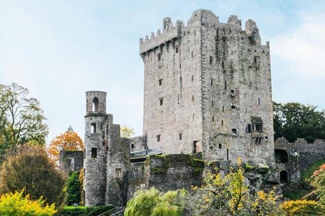 Blarney Castle and The Rock of Cashel with Private Chauffeur Tour - A long day with two Ireland icons: the real value of this plan