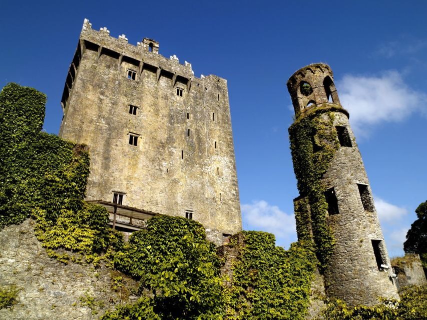 Blarney Castle Full-Day Tour from Dublin - Price and value: is $90 worth a full-day loop?