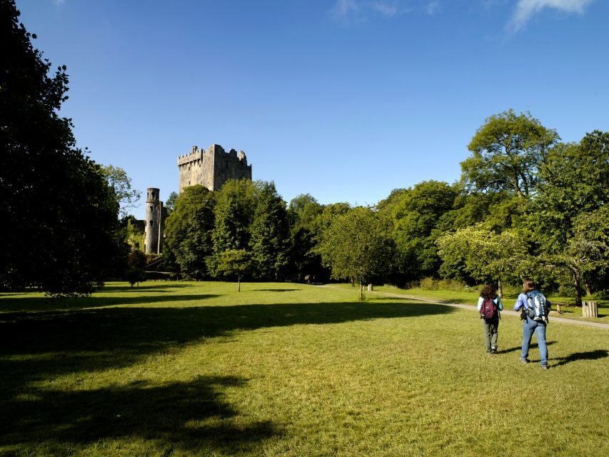 Blarney Castle Full-Day Tour from Dublin - From Dublin to County Cork: the drive that sets the tone
