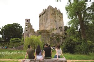 Blarney Castle Full-Day Tour from Dublin - Cork’s River Lee stop: English Market vs. St. Finbarre’s Cathedral