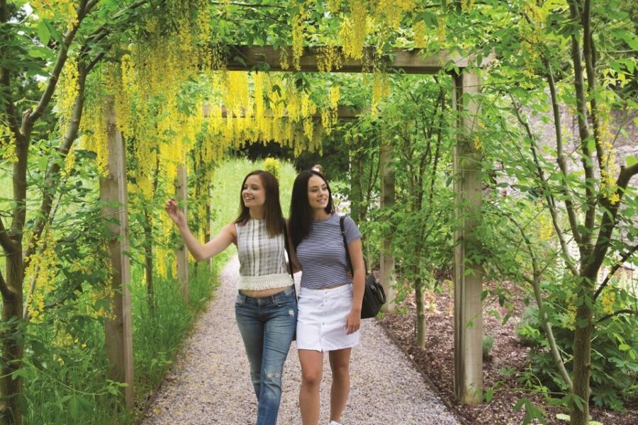 Blarney Castle Full-Day Tour from Dublin - Rock of Cashel: a fast hit of Ireland’s dramatic stone