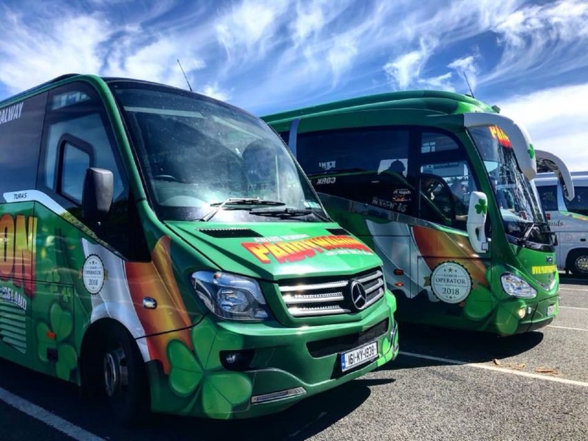 Blarney Castle Full-Day Tour from Dublin - Timing and comfort: the real logistics behind a great day