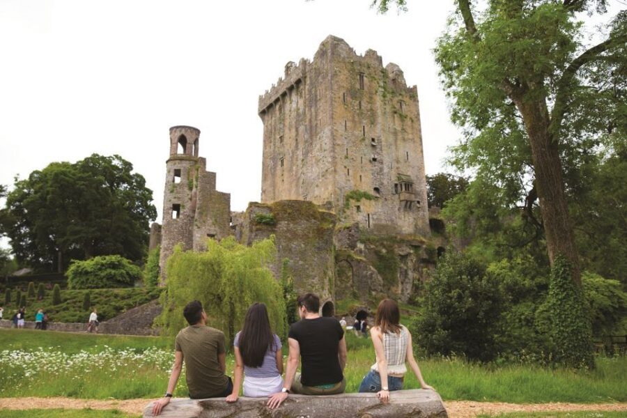 Blarney Castle Full-Day Tour from Dublin - Cork’s River Lee stop: English Market vs. St. Finbarre’s Cathedral
