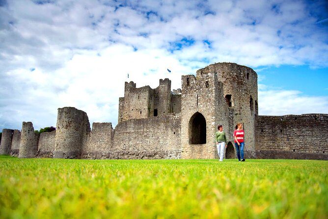 Boyne Valley, Meath - Private Shore Excursion - Monasterboice: Irish High Crosses and a Round Tower you can see in person