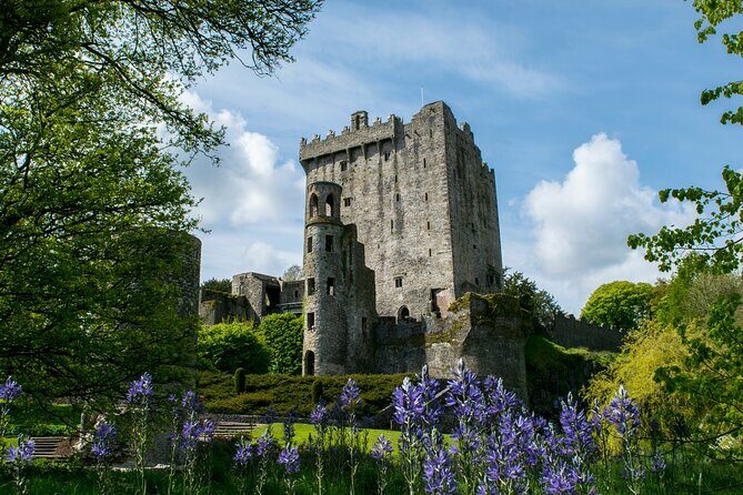 Chauffeur Blarney and Cork Private Day Tour from Dublin - Cashel’s first stop: why timing and context matter