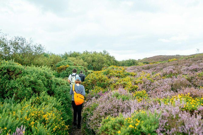 City Explorer: Howth Private Day Trip - Howth Castle and Estate: A Calm Start for Your Legs