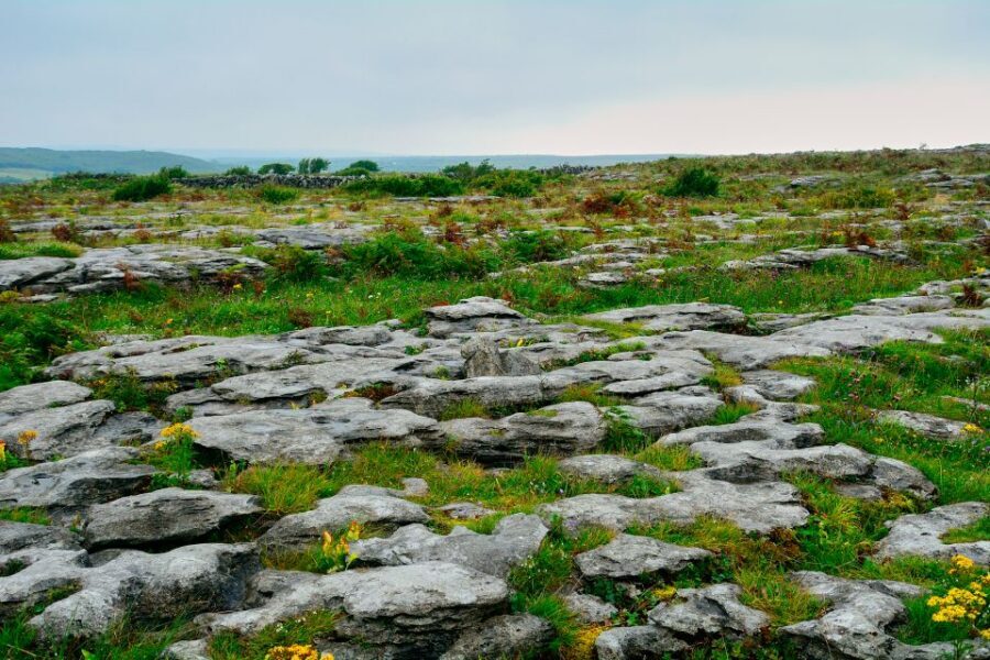 Cliffs of Moher and Blarney 2-Day Tour from Dublin - Guides and Timing: Why This Tour Feels Reliable