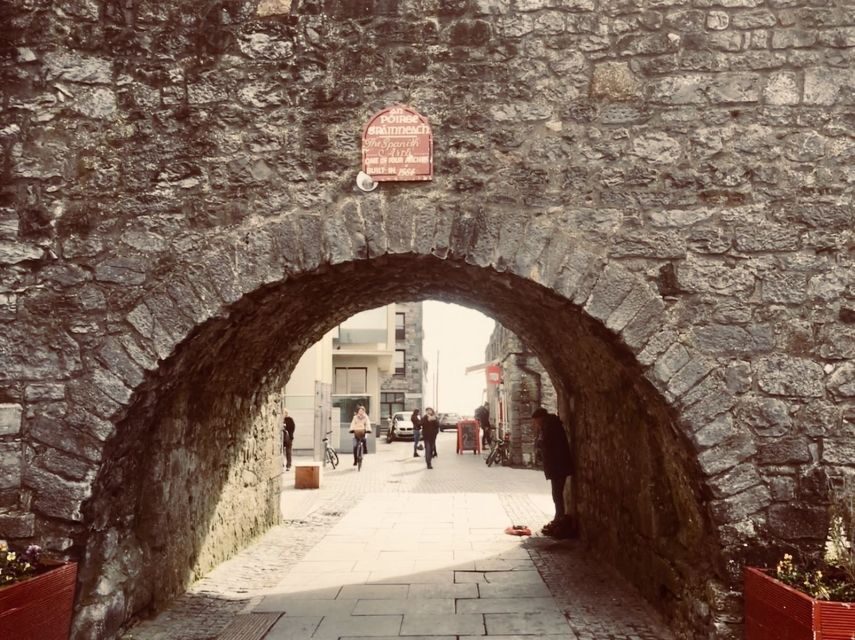 Cliffs of Moher and Galway Tour in Italian or Spanish - Who This Tour Suits Best