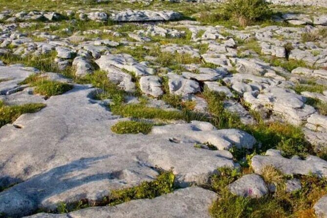 Cliffs of Moher, Burren and Galway 2 Days Private Chauffeur Tour - Bunratty Castle and Folk Park: history you can walk through
