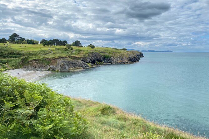 Day Tour from Dublin to Wicklow: Cliffs, Heritage, Wildlife, Gaol - A Dublin Day Trip That Actually Gives You Time to Breathe
