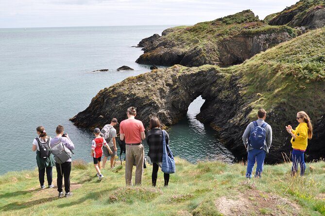 Day Tour from Dublin to Wicklow: Cliffs, Heritage, Wildlife, Gaol - Picnic Break Done Right: Tea/Coffee and Pastry on a Coastal Schedule