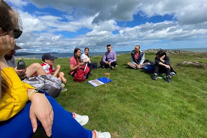 Day Tour from Dublin to Wicklow: Cliffs, Heritage, Wildlife, Gaol - Wicklow Town Walk: Vikings, St Patrick, and Norman Black Castle