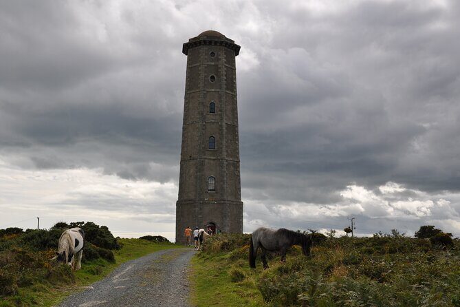 Day Tour from Dublin to Wicklow: Cliffs, Heritage, Wildlife, Gaol - Lunch by the Vartry River (and How to Time It)