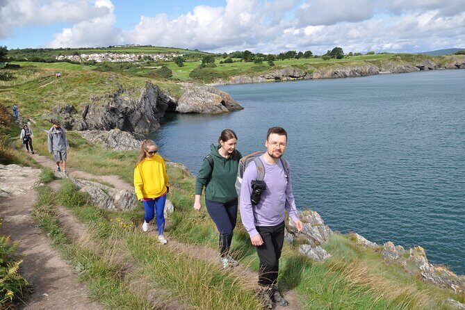 Day Tour from Dublin to Wicklow: Cliffs, Heritage, Wildlife, Gaol - Wicklow Gaol: Ireland’s Prison Story, with Entry as the Only Extra