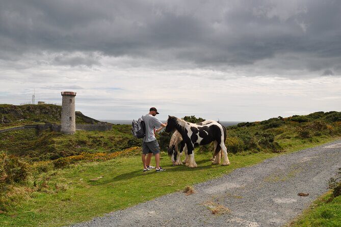 Day Tour from Dublin to Wicklow: Cliffs, Heritage, Wildlife, Gaol - What’s Included (So You Don’t Spend Your Day Thinking About Money)