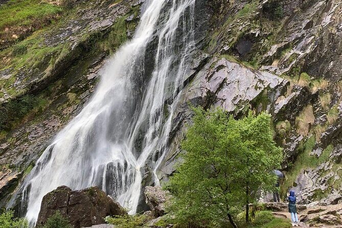Day Tour from Dublin: Wicklow Mountains, Glendalough, Powerscourt - Price and Value: What You’re Actually Paying For