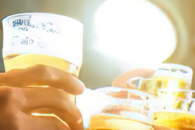 Drinks on Foot: Dublin Traditional Pub Tour - Should You Book This Dublin Pub Tour?