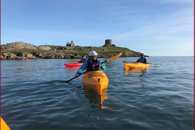 Dublin Bay Seal Kayaking Safari at Dalkey - Quick highlights