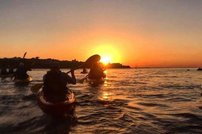 Dublin Bay Seal Kayaking Safari at Dalkey - Dublin Bay, Dalkey seals, and the UNESCO biosphere from your kayak