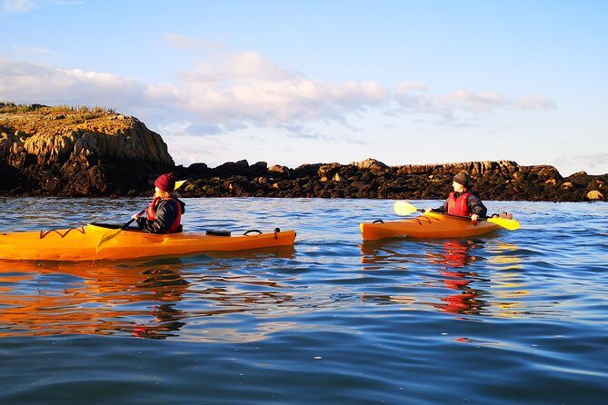 Dublin Bay Seal Kayaking Safari at Dalkey - Wind, rain, and choppy water: why the guides’ decisions matter