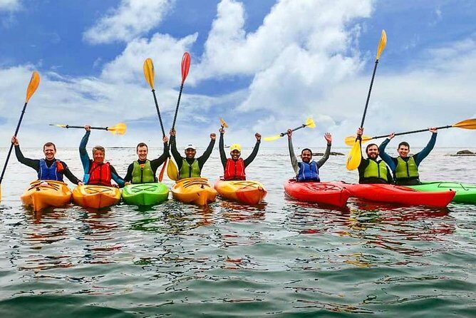Dublin Bay Seal Kayaking Safari at Dalkey - Price and value at about $143.97: what you’re really paying for