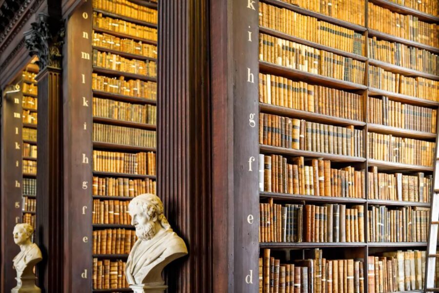 Dublin City Walking Tour, Vikings, St. Partick, Highlights - St Stephen’s Green in the 3-, 4-, and 6-Hour Tours