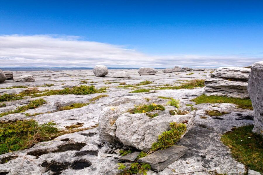 Dublin: Cliffs of Moher, Atlantic Edge & Galway City - Ride Comfort, Motion Sickness, and Coach-Day Survival Tips