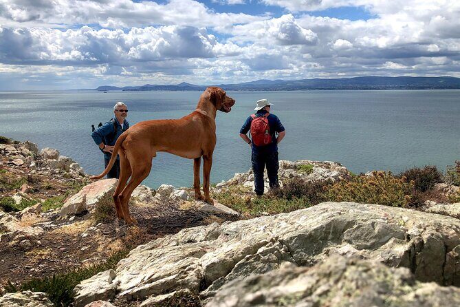 Dublin Coastal Hike with Howth Adventures - Beyond Dublin Center: why this coastal hike feels different