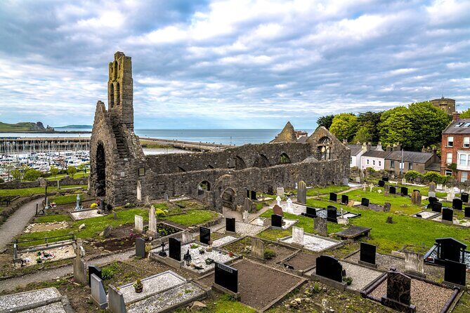 Dublin Coastal Hike with Howth Adventures - Stop-by-stop: from harbor seals to St Mary’s Abbey