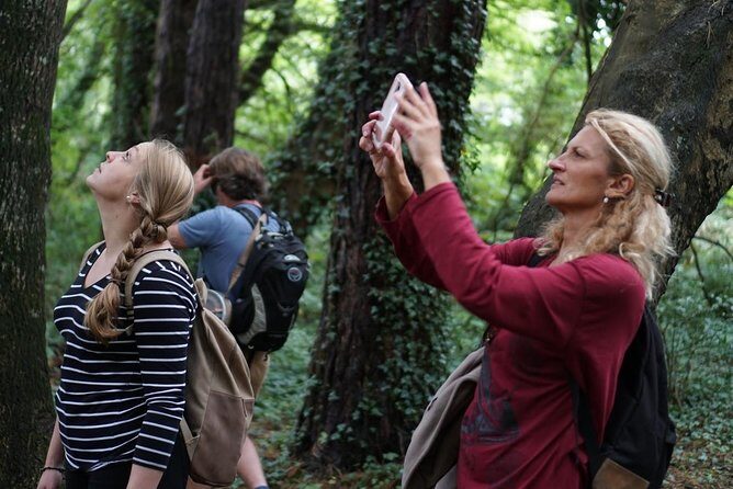 Dublin Coastal Hike with Howth Adventures - Getting to the meeting point at Howth Market (and why timing matters)