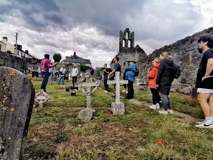 Dublin: Dublin Coastal Hike and Pints & Puppies - The 700-year-old castle stop and the Viking-Norman thread