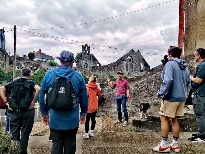 Dublin: Dublin Coastal Hike and Pints & Puppies - Hidden Howth: where the route feels less touristy
