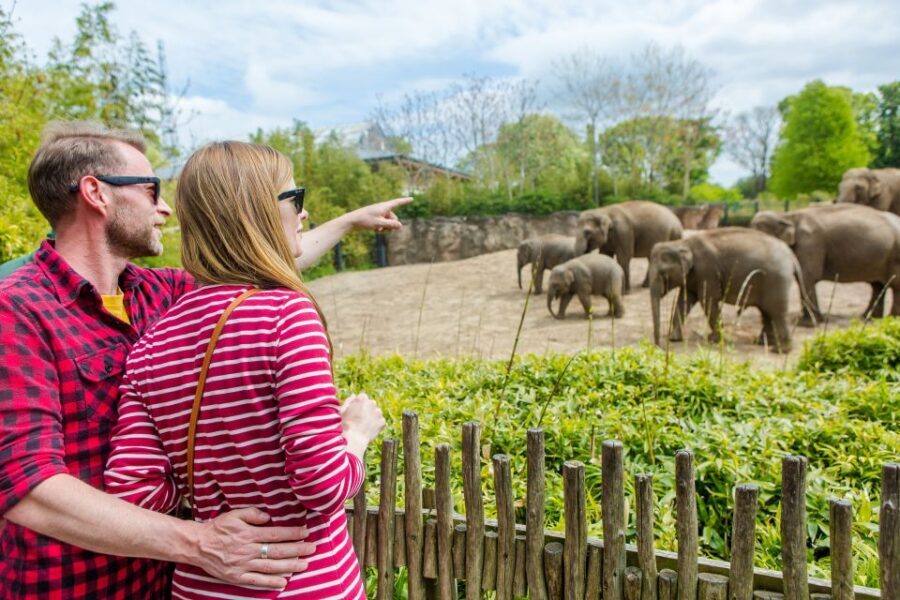 Dublin Explorer Pass: Save up to 50% on 3 to 7 Attractions - Cathedrals and landmarks: Christ Church, Saint Patrick’s, and Dublin Castle