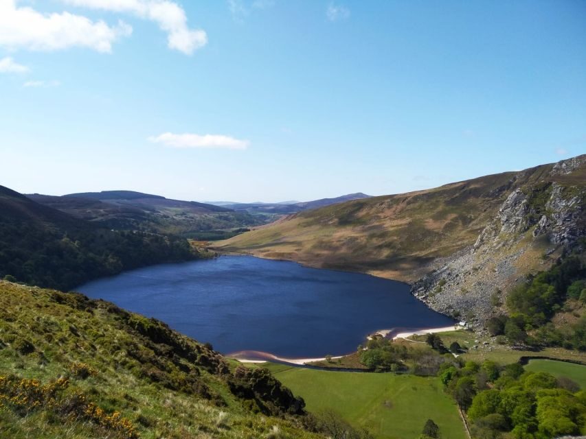 Dublin: Full-Day Wicklow Mountains Tour w/ Glendalough Visit - Key Things I’d Bank On Before You Go