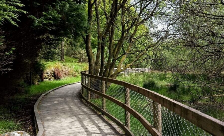 Dublin: Full-Day Wicklow Mountains Tour w/ Glendalough Visit - Price and Value: What You’re Really Paying For
