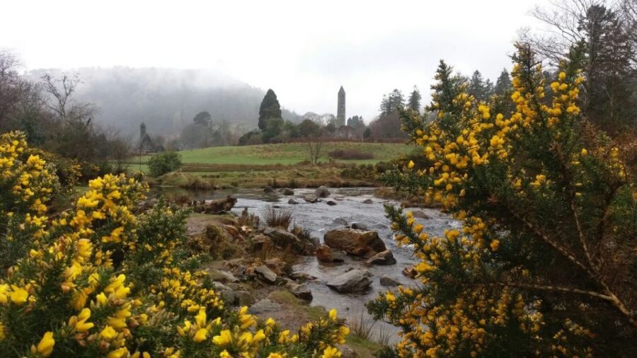 Dublin: Full-Day Wicklow Mountains Tour w/ Glendalough Visit - Glendalough: St. Kevin’s Site, Celtic Cross, and Lake-Path Walking