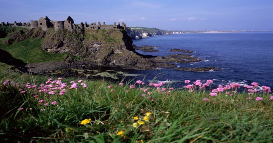 Dublin: Giant's Causeway & Belfast (Titanic or Black Taxi) - Giant’s Causeway: Walking 60 Million Years of Basalt
